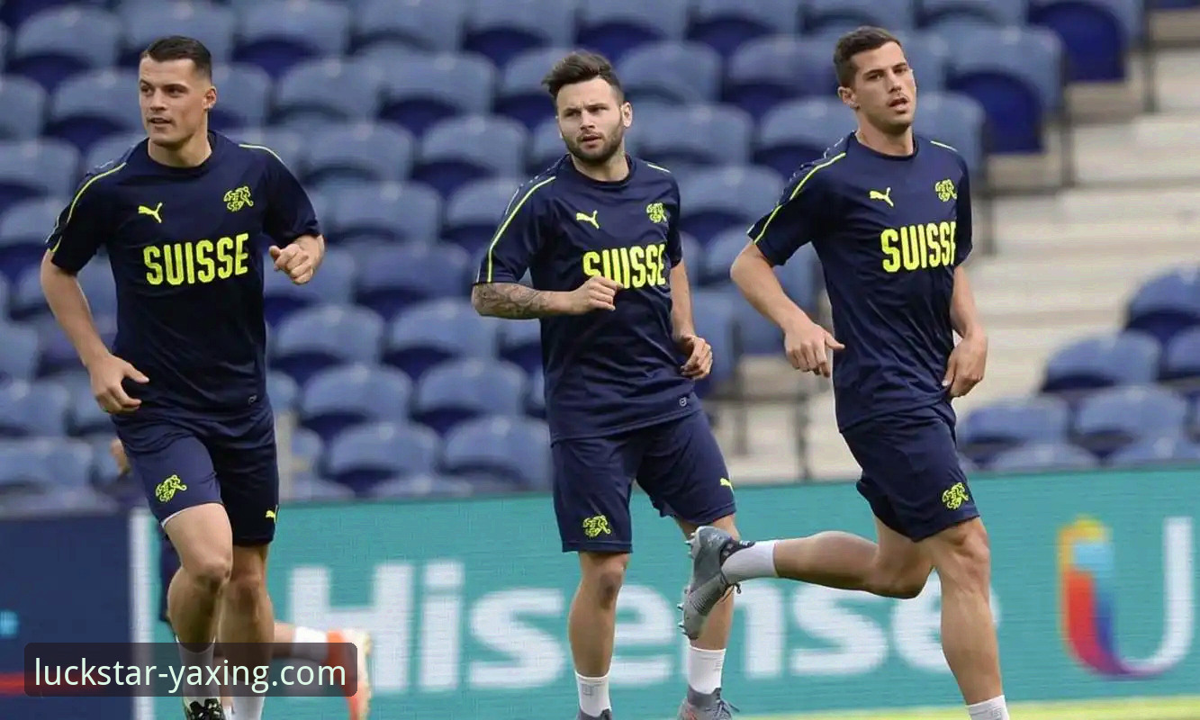 亚星娱乐官网登录入口 从奥地利5-1大胜加纳,看体育赛事直播的实用体验指南