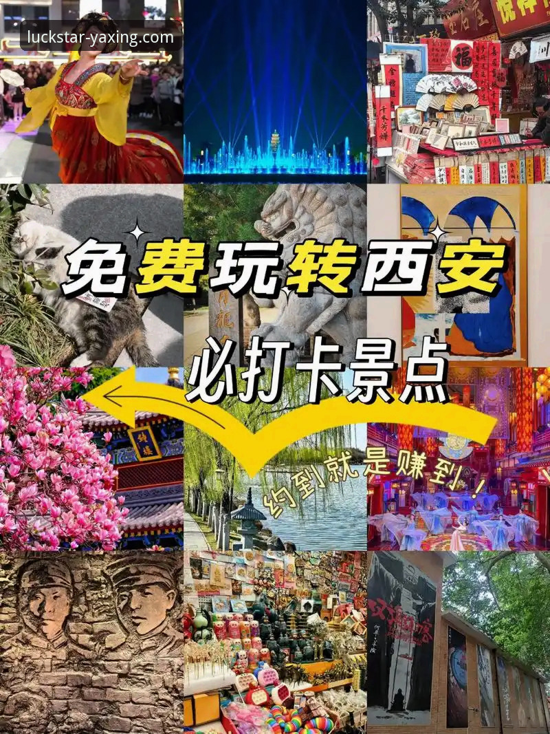 2026亚星娱乐APP下载安装包 2026亚星娱乐APP下载安装包 vs 普通版本:哪个更适合你的移动娱乐需求?